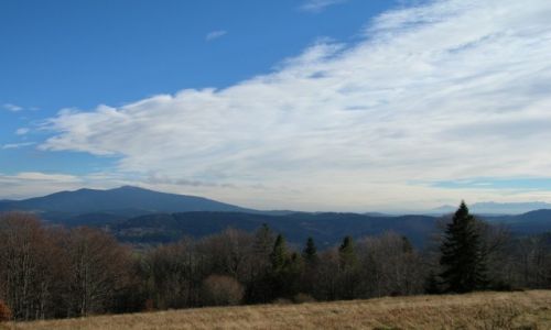 Zdjęcie POLSKA / Beskid Żywiecki / Hala Uszczawne / Widok na Babią Górę