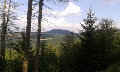 Zdjęcie POLSKA / SUDETY / STRZELINIEC W TLE  / STRZELINIEC Z ODDALI