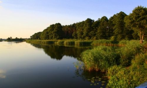 Zdjęcie POLSKA / Mazowsze / Zalew Karwacki / Zalew Karwacki