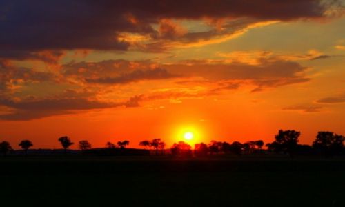 Zdjęcie POLSKA / Mazowsze / okolice Przasnysza / Zachód słońca
