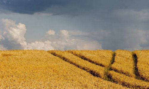 Zdjecie POLSKA / mazury / mazury / mazury
