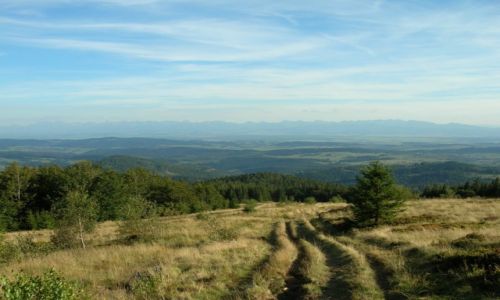 Zdjcie POLSKA / Beskid ywiecki / Hala Krupowa / Panorama Tatr z Krupowej