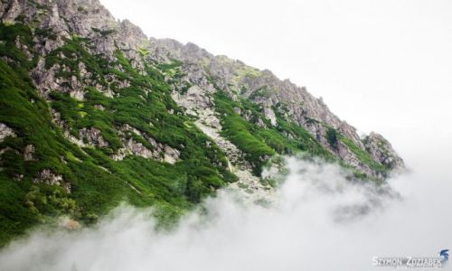Zdjcie POLSKA / Tatry / Dolina Roztoki / Skpany we mgle
