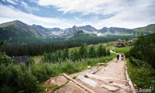 Zdjcie POLSKA / Tatry / Dolina Gsienicowa / Dolina Gsienicowa