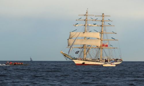 Zdjcie POLSKA / Pomorskie  / Gdynia / STS Fryderyk Chopin