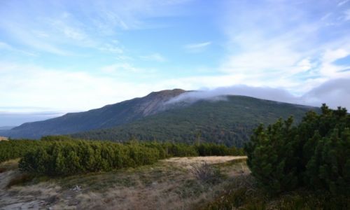 Zdjcie POLSKA / Beskid ywiecki / Babiogrski Park Narodowy / Widok z pod Cylu na Babi