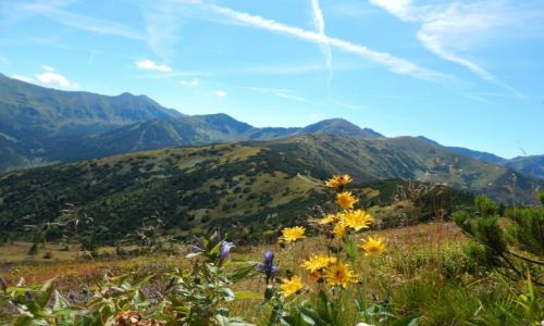 Zdjecie POLSKA / Tatry Zachodnie / Grze / Panorama z Grzesia