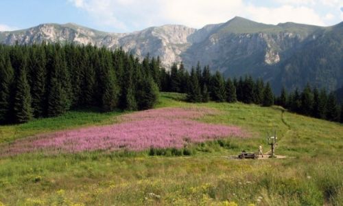 Zdjecie POLSKA / Maopolska / Tatry / Penia lata... 