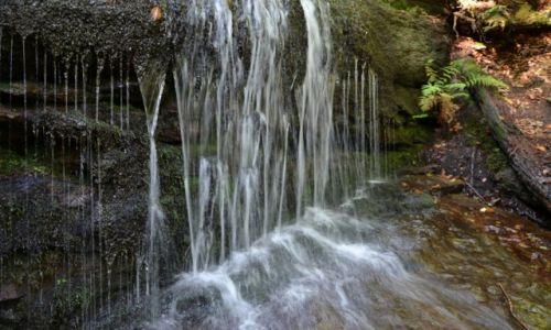 Zdjcie POLSKA / Beskid May / Zachodnie zbocza Poredniego Gronia / Wodospad Dusica