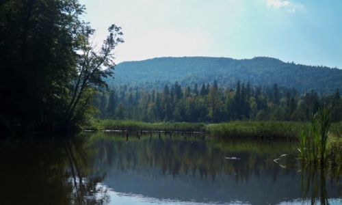 Zdjcie POLSKA / Podkarpacie / Huczwice / Jeziorko Bobrowe