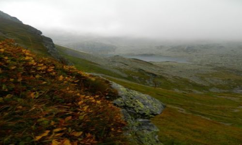 Zdjęcie POLSKA / Tatry / w drodze na walentynkowy wierch / widok na zadni staw polski