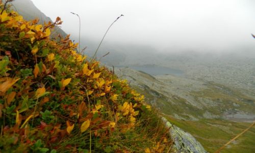 Zdjecie POLSKA / Tatry / w drodze na walentynkowy wierch / widok na zadni staw polski 12.09.14
