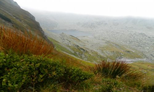 Zdjęcie POLSKA / Tatry / w drodze na walentynkowy wierch / widok na zadni staw polski 12.09.14