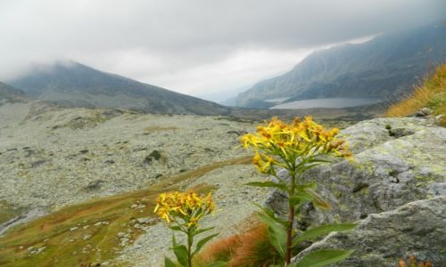Zdjęcie POLSKA / Tatry / w drodze na walentynkowy wierch / widok na dolinę 5 stawów