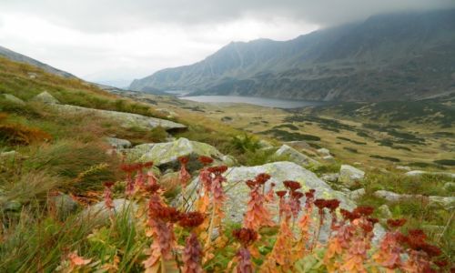 Zdjecie POLSKA / Tatry / gdzie na szlaku / widok na dolin 5 staww