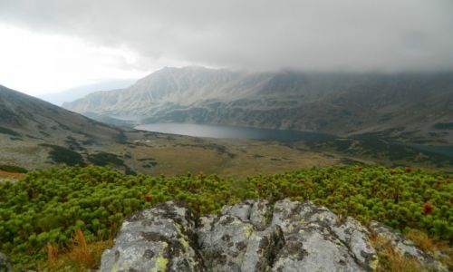 Zdjecie POLSKA / Tatry / gdzie na szlaku / widok na dolin 5 staww