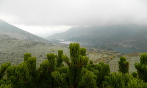 Zdjecie POLSKA / Tatry / gdzie na szlaku / widok na dolin 5 staww