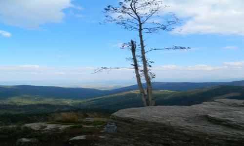 Zdjecie POLSKA / Beskid / Malinowska Skaa / Malinowska Skaa