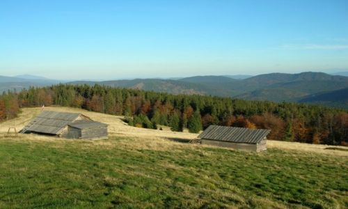 Zdjcie POLSKA / Beskid ywiecki / Hala Rycerzowa / Hala Rycerzowa II