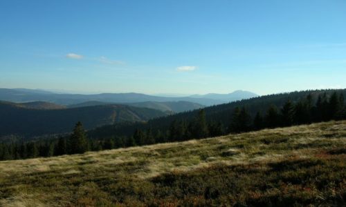 Zdjcie POLSKA / Beskid ywiecki / Hala Rycerzowa / Widok z Rycerzowej na Ma Fatr