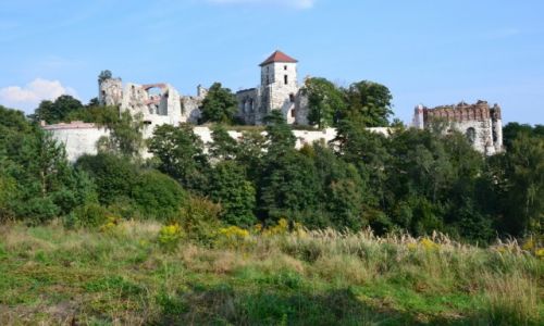 Zdjcie POLSKA / maopolska / Tenczyn - Rudno / Ruiny