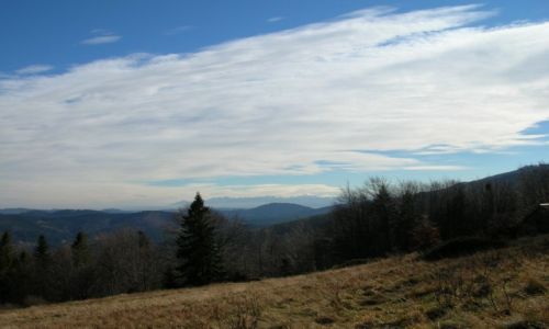 Zdjęcie POLSKA / Beskid Żywiecki / Hala Uszczawne / Widok Tatr z Uszczawnego
