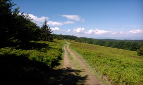 POLSKA / Beskid Sdecki / Niedaleko od Hali abowskiej / Bieszczady- Karkonosze (krajobraz)