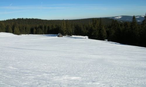 Zdjcie POLSKA / Tatry / Rusinowa Polana / Na Rusinowej