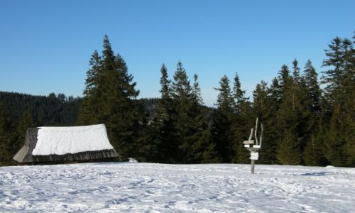 Zdjcie POLSKA / Tatry / Rusinowa Polana / Na Rusinowej II