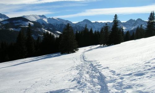 Zdjecie POLSKA / Tatry / Rusinowa Polana / Na Rusinowej III