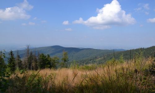 Zdj�cie POLSKA / Beskid Ma�y / Leskowiec / Widok na Gancarz