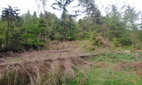 Zdjecie POLSKA / Gorce / Przed Przecz Knurowsk / Bieszczady- Karkonosze -Przeajowym szlakiem