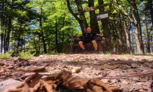 Zdjecie POLSKA / Beskid May / Jaworzyna / Bieszczady- Karkonosze (miejsce w sam raz)