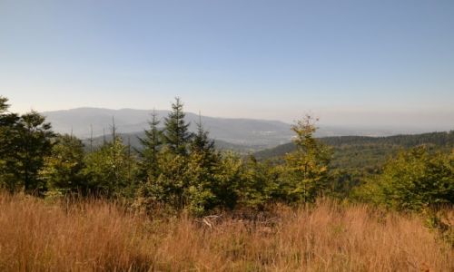 Zdjęcie POLSKA / Beskid Mały / Gaiki / Widok na Bielsko z Gaików