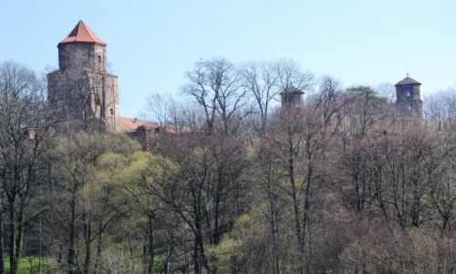 Zdjecie POLSKA / lskie / Toszek / Zamek