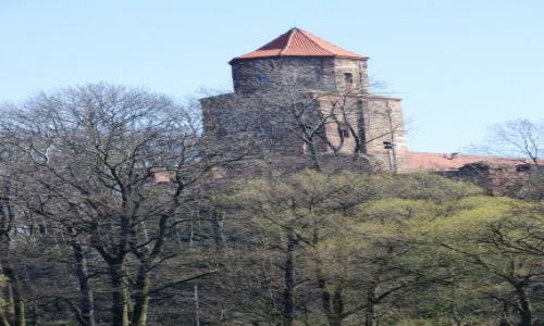 Zdjęcie POLSKA / Śląskie / Toszek / Zamek