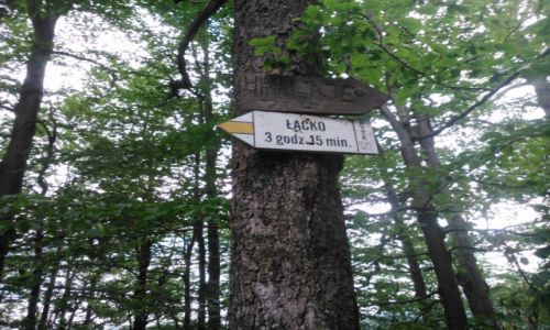 Zdjecie POLSKA / Beskid Sdecki / Okolice Dzwonwki / Bieszczady- Karkonosze 2014 (pocieszenie)