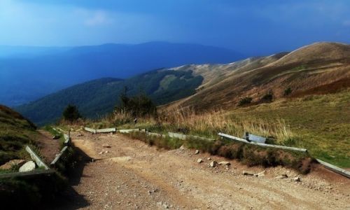Zdjcie POLSKA / podkarpacie / Tarnica /  Kierunek- Woosate