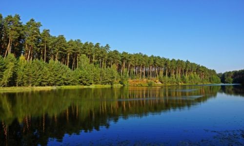 Zdjęcie POLSKA / pomorskie / Tuchola / Dolina Brdy