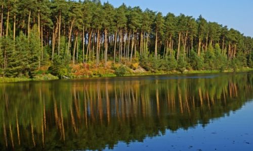 Zdjęcie POLSKA / pomorskie / Tuchola / Dolina Rzeki Brdy