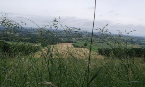 Zdjecie POLSKA / Beskid lski / Chem  / Chocia wyglda na zwyky w istocie jest niezwyky
