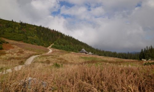 Zdjecie POLSKA / Tatry Wysokie / Hala Gsienicowa / Krlowe Rwienki