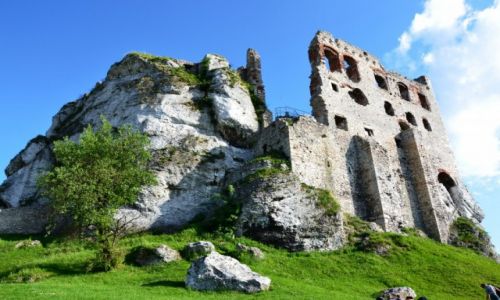 Zdjcie POLSKA / lskie / Podzamcze / Zamek Ogrodzieniec