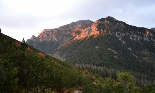 Zdjecie POLSKA / Tatry Zachodnie / Powyej Iwaniackiej Przeczy / Kominiarski Wierch