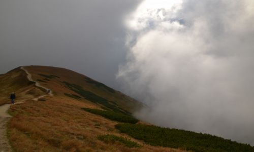 Zdjecie POLSKA / Tatry Zachodnie / Siwa Przecz / Kotowa Czuba