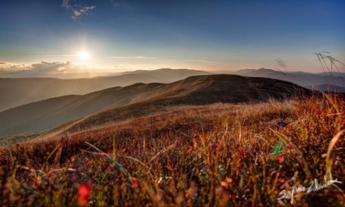 Zdjecie POLSKA / Bieszczady / Szeroki Wierch / Zbocza Szerokiego