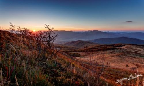 Zdjecie POLSKA / Bieszczady / Szeroki Wierch / Zbocza Szerokiego