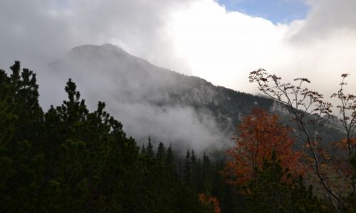 Zdjecie POLSKA / Tatry Zachodnie / Iwaniacka Przecz / Widok na Zdrapiska