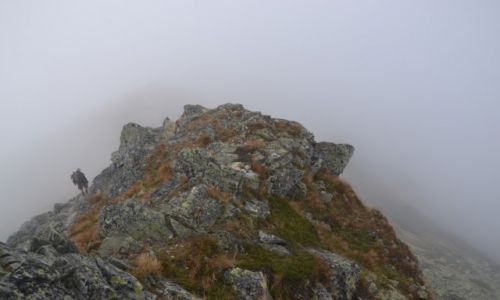 Zdjecie POLSKA / Tatry Zachodnie / Zadni Ornak / Na Zadnim Ornaku
