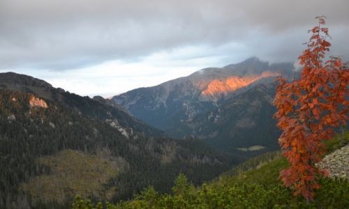 Zdjecie POLSKA / Tatry Zachodnie / Suchy Wierch Ornaczaski / Widok na Wysoki Grzbiet